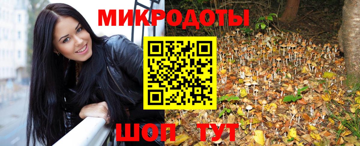Псилоцибиновые грибы ЛСД  Псилоцибиновые грибы прущие грибы  Вход с VPN  Новоалтайск 
